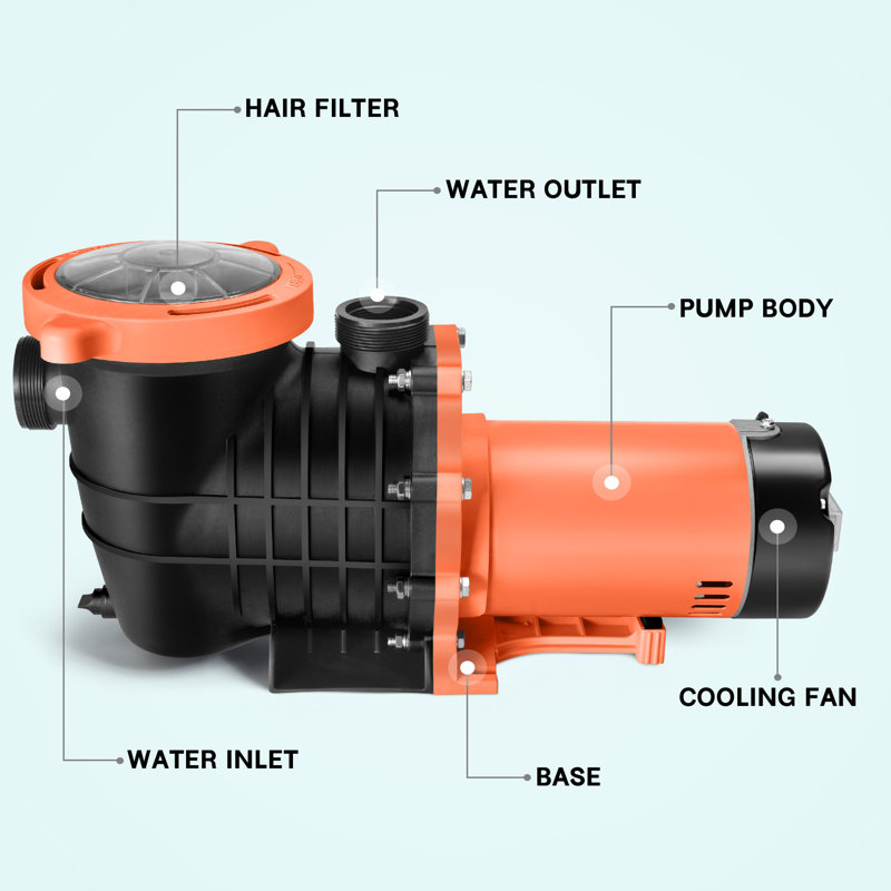 Arlmont & Co. 1.5 HP High Flow Dual Voltage Pool Pump with Strainer Basket Wayfair